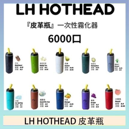 LH HOTHEAD皮革瓶電子煙可充電6000口一次性