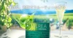 TEREA SHINE PEARL青提爆珠IQOS煙彈：圖片 3