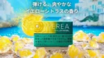 IQOS TEREA STELLAR PEARL柑橘爆珠煙彈:圖片 2